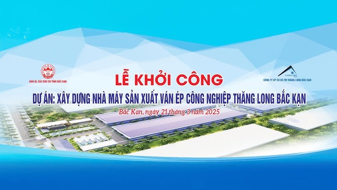 THANG LONG  INDUSTRIAL PLYWOOD FACTORY PROJECT